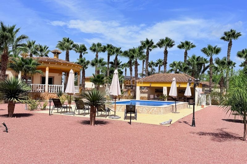 Foto 599ec99d-68d1-4b36-8799-ebbbef828f8f. Casa amb calefacció aparcament piscina a Catral