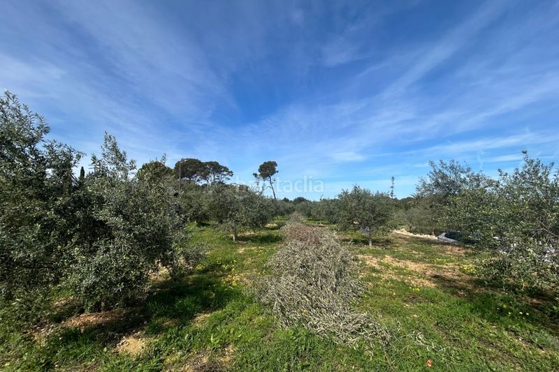 Foto 958f99ad-050a-4513-9e99-7476faa6ee3d. Casa amb aparcament piscina a La Xara-La Sella Dénia