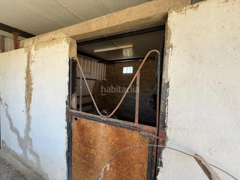 Foto 1139268f-9c9e-4624-aefb-edb12fcb09a1. Xalet amb aparcament piscina a Santa Bárbara Llíria