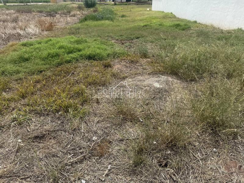 Foto 0b13eca1-6b50-44bf-a32c-044260f1bf52. Terreny residencial a Moncófar Pueblo Moncofa