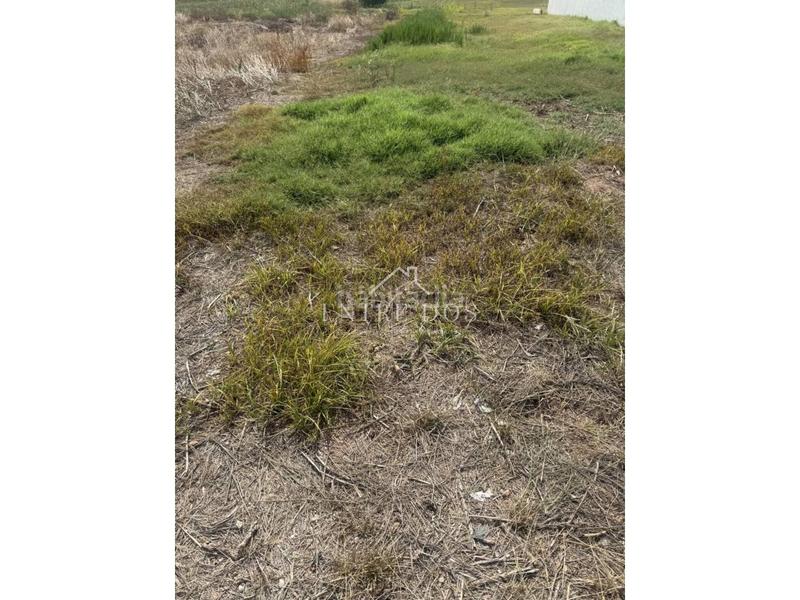 Foto c541edb7-84be-4480-a190-41f2d63dd445. Terreny residencial a Moncófar Pueblo Moncofa