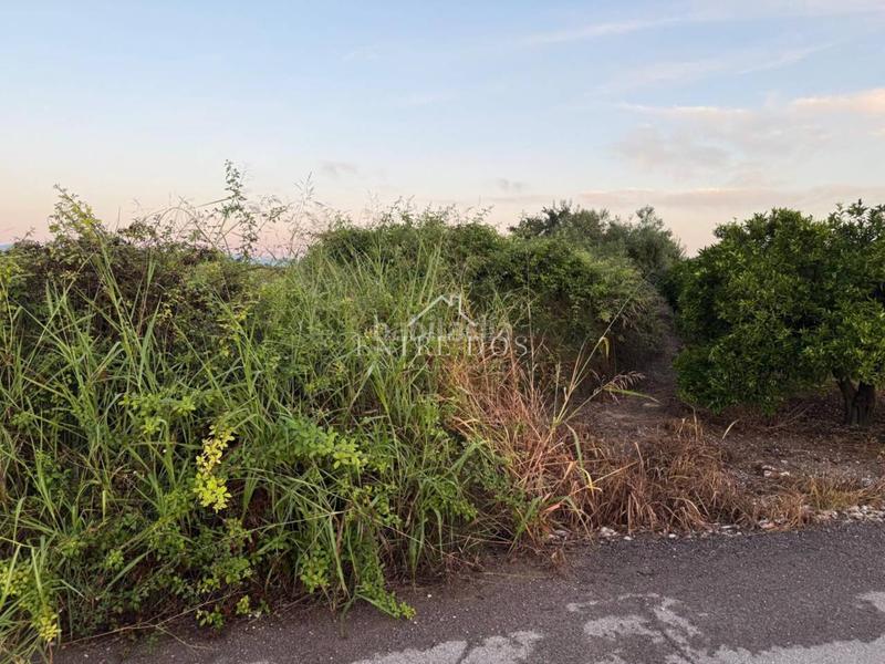 Foto 0c66c1d9-b93f-485d-a145-406690d3fb2e. Propriété dans Llombai Burriana