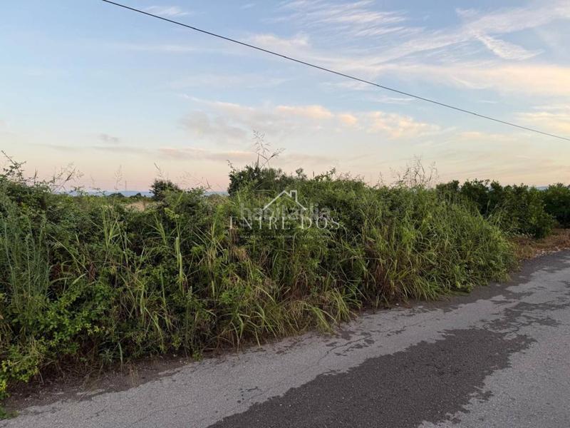 Foto 1b74ff75-eadf-48bd-9438-ecc3b58c8d62. Propriété dans Llombai Burriana