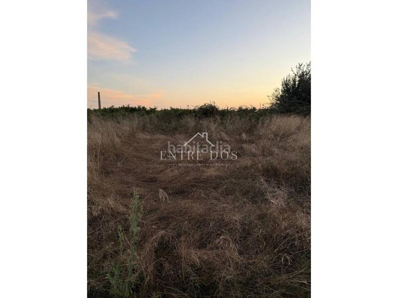 Foto 2b4170e2-667e-450e-9f06-4c93118d3773. Propriété dans Llombai Burriana