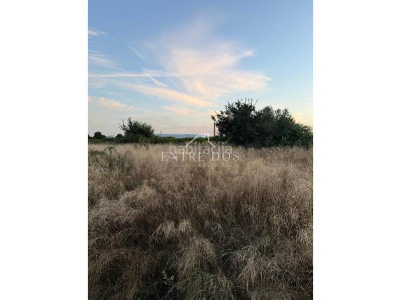 Foto 3e716795-19cd-4055-8db2-d0c2be44806c. Propriété dans Llombai Burriana