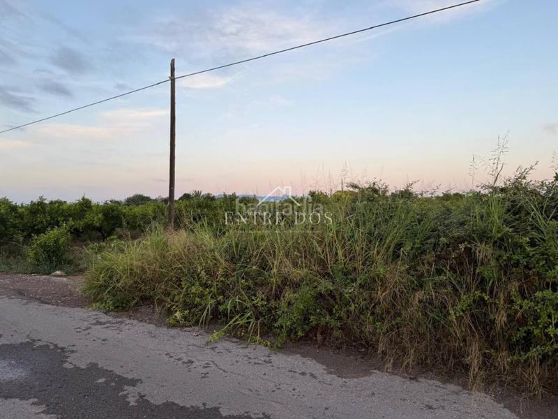 Foto 7a2854b9-d61c-40b5-a1b7-534c2e2c5a4a. Propriété dans Llombai Burriana