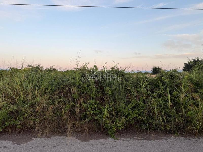 Foto c5868df2-8de1-4aff-8396-40ab393fc59b. Propriété dans Llombai Burriana