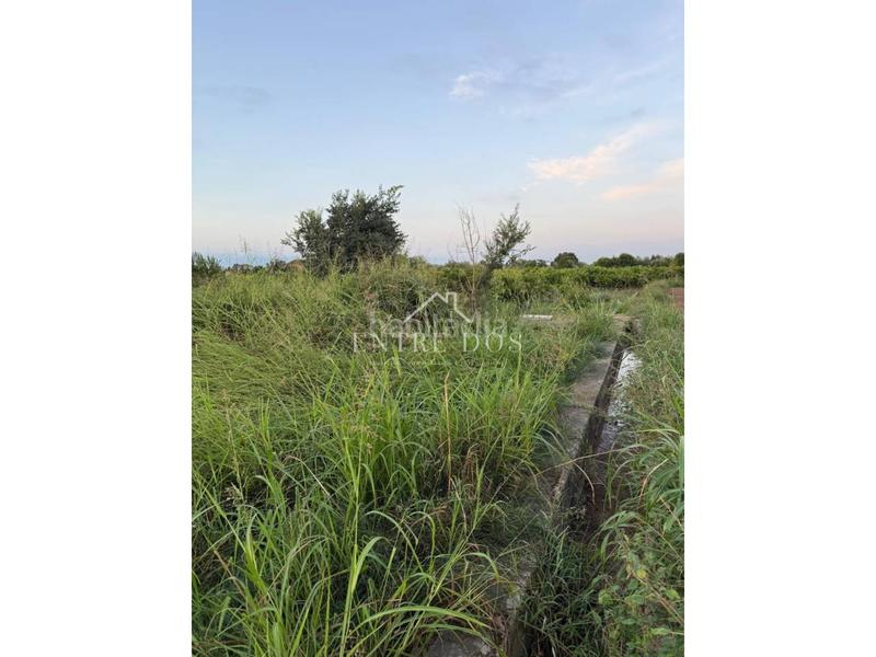 Foto e4835f44-07ca-4f6f-af7f-b38365958a3b. Propriété dans Llombai Burriana