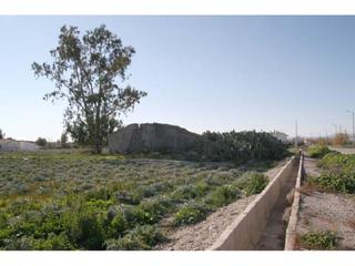 Propriété à San José. Finca agricola en la torrecilla, lorca