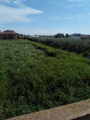 Fondo rustico in Campillo. Parcela de 2.039 m2