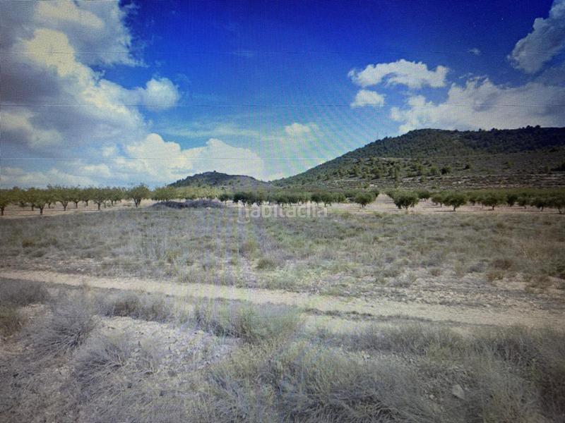 Foto 9a25e6cf-eb75-46de-94bc-e0991ca8d9a0. Finca rústica a Zarcilla de Ramos Lorca