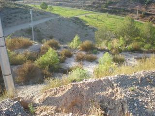 Fondo rustico in Calle zarcilla sectoriz res 22. Finca en ortillo, lorca