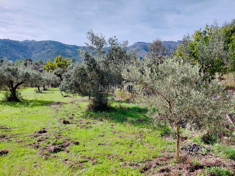 Foto 028f55ed-ef99-4d8c-8f45-aca8ae3da523. Xalet amb xemeneia aparcament a Castell de Castells