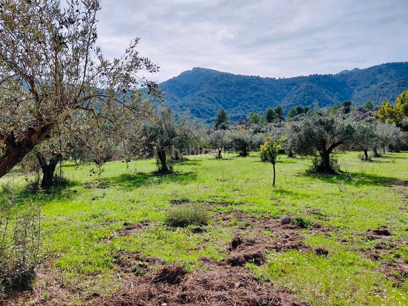 Foto cd4eb1f1-d56c-4b5b-ba50-6998bcb4d61e. Xalet amb xemeneia aparcament a Castell de Castells