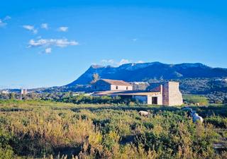 Chalet en El Puerto. Nueva parcela rústica con chalet para reformar o con posibilidad