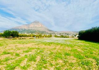 Rural plot in Partida Tosal - Zona dels Castellans