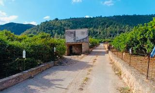 Finca rústica en Oliva Pueblo. Nueva parcela rústica en venta en oliva!