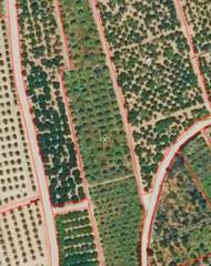 Finca rústica en Oliva Pueblo. Nueva parcela rústica en venta en oliva!