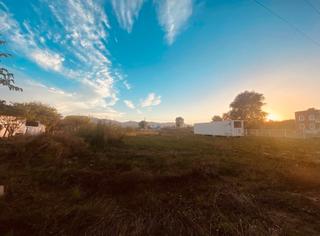Finca rústica a Oliva Nova. En venta preciosa parcela rústica en oliva!
