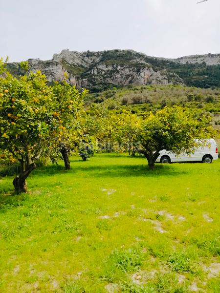 Foto 48413637-7d5c-44c6-a174-f131d9e278fe. Fondo rustico in Xaló