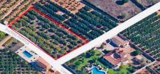 Finca rústica a Pedreguer. Se vende parcela rústica en pedreguer!