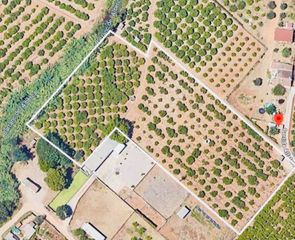 Landgut in Ondara. Nuevo terreno en venta con naranjos en producción en ondara!
