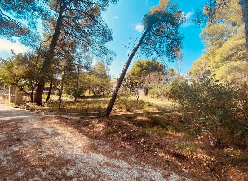 Foto 7009b7bc-6c2c-4fe1-83b6-01e434e89b85. Terreno residencial en venta preciosa parcela urbana en las rotas. en Dénia