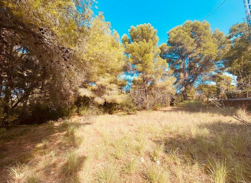 Foto db26623d-58f6-474b-9ed0-8b284da5b125. Terreno residencial en venta preciosa parcela urbana en las rotas. en Dénia