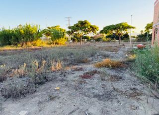 Solar industrial a Bellreguard. Nuevo solar residencial en venta en bellreguard!