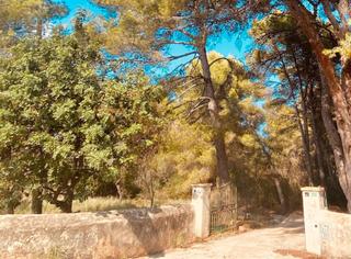 Terreny residencial a Las Rotas / Les Rotes. En venta espectacular parcela urbana en dénia, en las rotas, pri