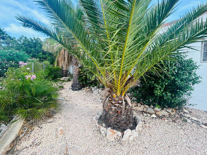 Foto fca75e9c-2bd6-46e7-953b-c43e8ef264e5. Chalet mit heizung parking pool in Cap Martí - El Tossalet - Pinomar Xàbia