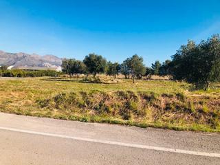 Finca rústica a Orba. En venta parcela rústica en orba!
