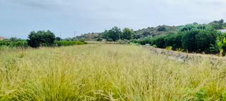 Finca rústica a Ráfol de Almunia. En venta terreno en montepego, con caravana!