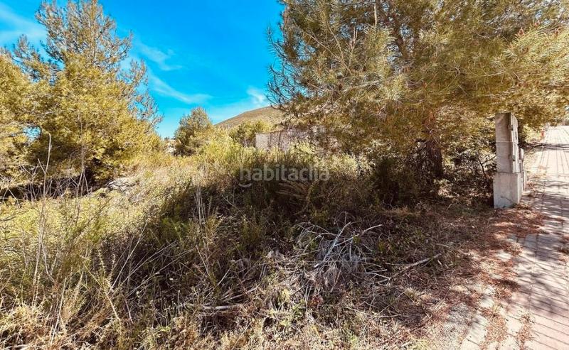 Foto 2a84eb66-2a56-41e4-b04a-26b845d763ae. Terreny residencial a Montgó - Ermita Xàbia