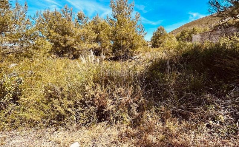 Foto 347e25e0-6513-4596-b14d-1b74dd106c13. Terreny residencial a Montgó - Ermita Xàbia