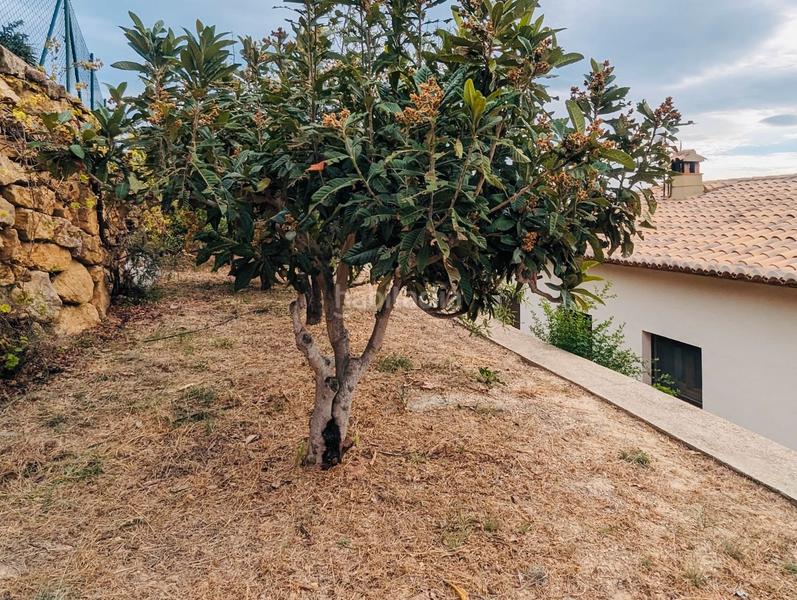 Foto 6a79e172-530d-499c-8995-a0866922a440. Chalet nuevo chalet en venta ! en Oliva pueblo Oliva