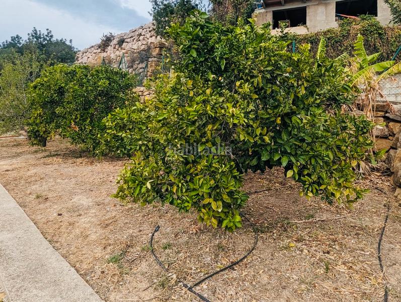Foto f3aae00a-01cc-4fe6-b5e7-e27f004d64b9. Chalet nuevo chalet en venta ! en Oliva pueblo Oliva