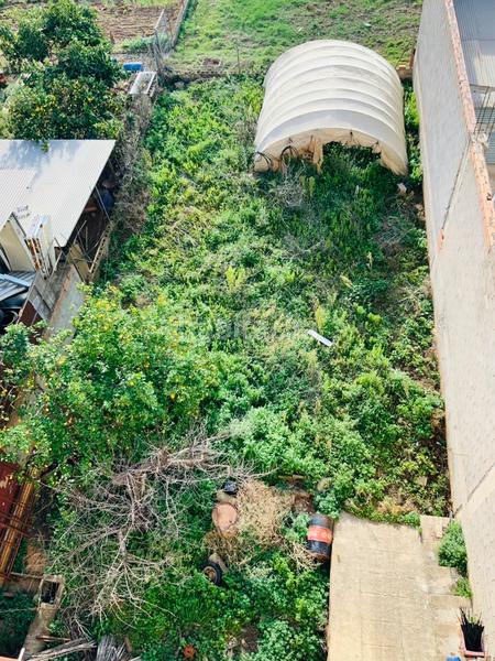 Foto 3f1990f2-6cd5-44ae-b50a-f38b88d09dff. Edifici a Verger (el)