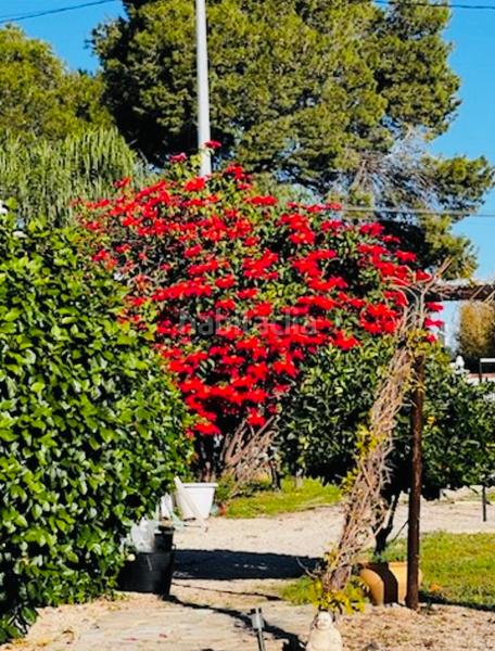 Foto ab204124-c6a7-4782-85a6-059d86de5bc5. Chalet with fireplace parking pool in La Xara-La Sella Dénia