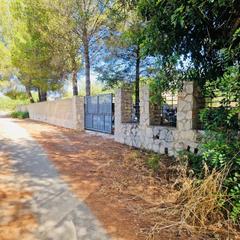 Masia a Xaló. Nuevo terreno con casita para reformar en jalón!