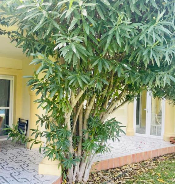 Foto 0ee6fb07-1032-4531-bf04-88adec0c6fb0. Planta baixa amb calefacció aparcament piscina a Dénia