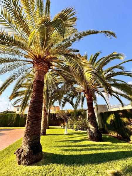 Foto 5023b208-8ab7-4732-b05a-52bb23a718a3. Reihenhaus mit heizung parking pool in Poblets (els)