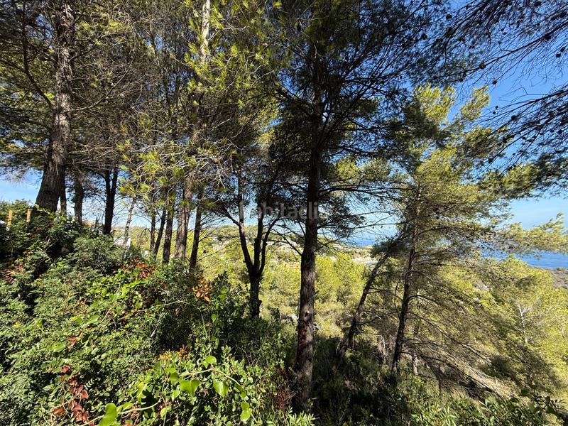 Foto 123948a2-b404-4ac5-aaac-ba6efb43b873. Terreno residenziale in Cap Martí - El Tossalet - Pinomar Xàbia