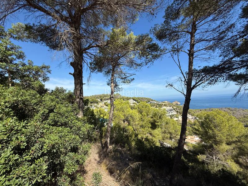 Foto 80d3d4b8-dbce-4537-b37b-0a1b6c826223. Terreno residenziale in Cap Martí - El Tossalet - Pinomar Xàbia