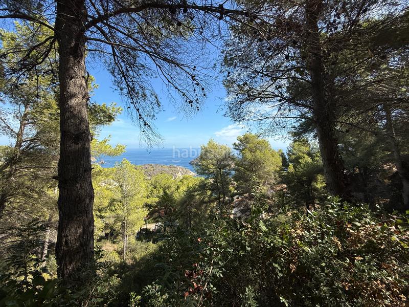 Foto b3ee1638-573e-481c-beba-9bd865c0be0c. Terreno residenziale in Cap Martí - El Tossalet - Pinomar Xàbia