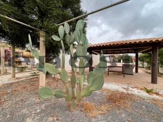 Bauernhof in Perín. Casa de campo con terreno