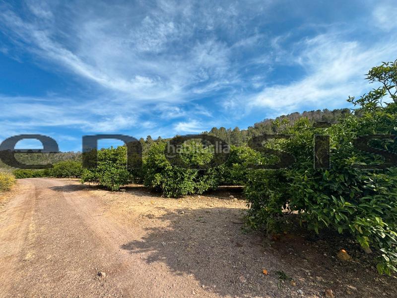 Foto 0e143aba-362b-4fb3-b008-3b328adb8176. Landgut in Albatalia Murcia