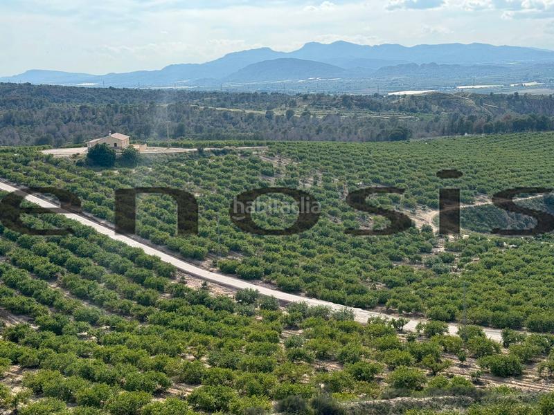 Foto 1b5c9403-3405-49ed-91fc-f725520152eb. Landgut in Albatalia Murcia