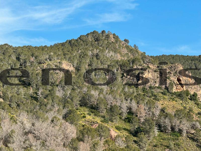 Foto 362b5fb5-371e-455e-bc28-0c6558755d3e. Landgut in Albatalia Murcia