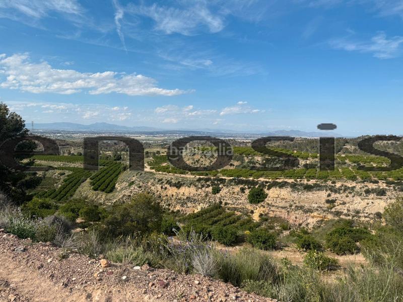 Foto 5ad47669-b7c2-4f12-ad70-78589b47b8a2. Landgut in Albatalia Murcia